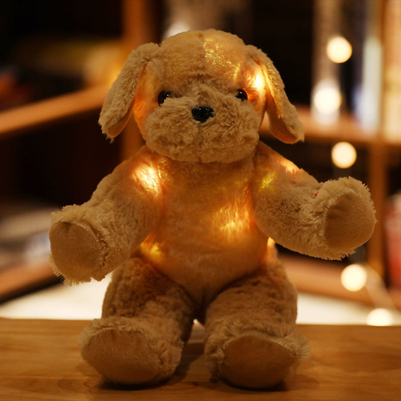 Light Up Teddy Bears