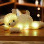 Light Up Teddy Bears