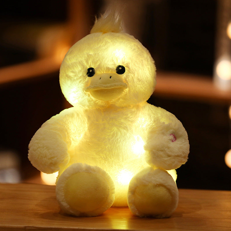 Light Up Teddy Bears