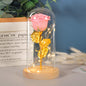 Eternal Rose Flowers LED Light